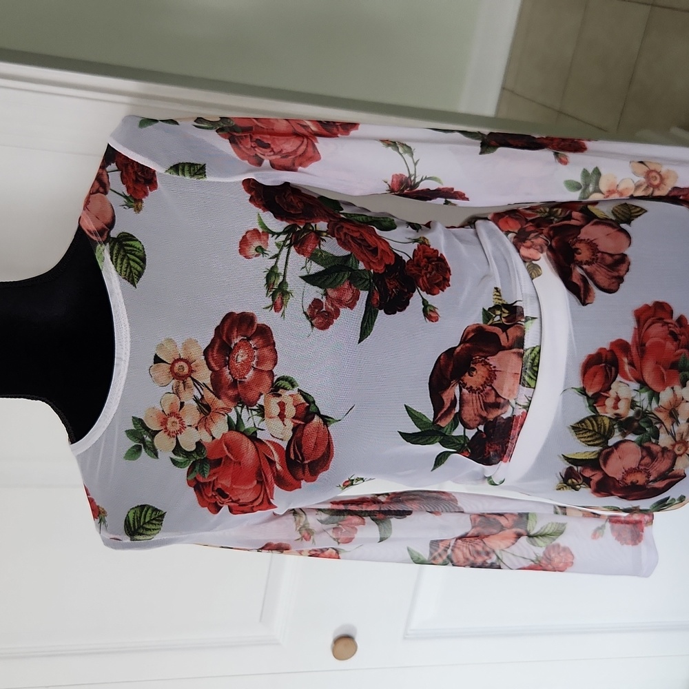 Sexy sheer 2pc